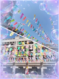 もうすぐ・・,゜.:。+゜ゴールデンウィーク,゜.:。+゜