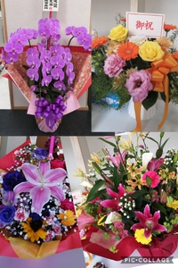 ✩°｡⋆⸜(* ॑꒳ ॑*  )⸝晴天と思ったら・・・・・・。 2021/07/12 16:40:35