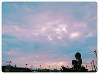 ♫☆彡♪し・ゅ・う・ま・つ╰(＊´︶`＊)╯♪ 2020/10/30 13:55:14