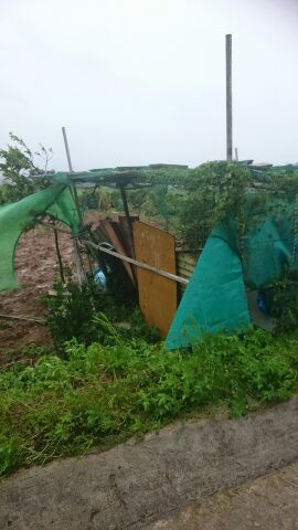 台風15号　強風？