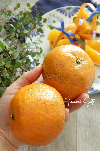 季節を感じるhappyごはん 皮の硬い柑橘にオススメ おいしい切り方 たんかん