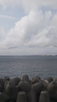 出張先で浮気を繰り返す夫の調査！ 2019/04/24 16:04:58