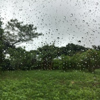 雨降りの中の張込調査！ 2018/08/15 16:15:22