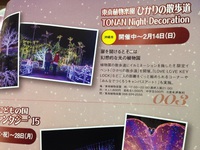 東南植物楽園 2015/12/17 23:29:36
