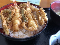 どんどん亭(そば　うどん　天どん)