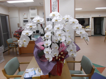 内覧会でたくさんのお祝いを頂きました♪