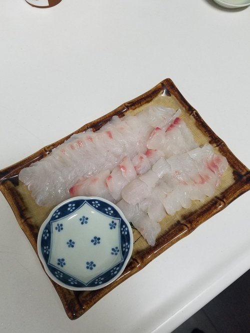 小潮が大好きだ！ミラクル小潮！