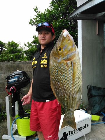 G.W釣果