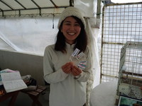 サンゴ移植＆新潟情報 2015/01/21 11:37:20