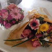 花、華、春！ 2015/02/04 08:23:27