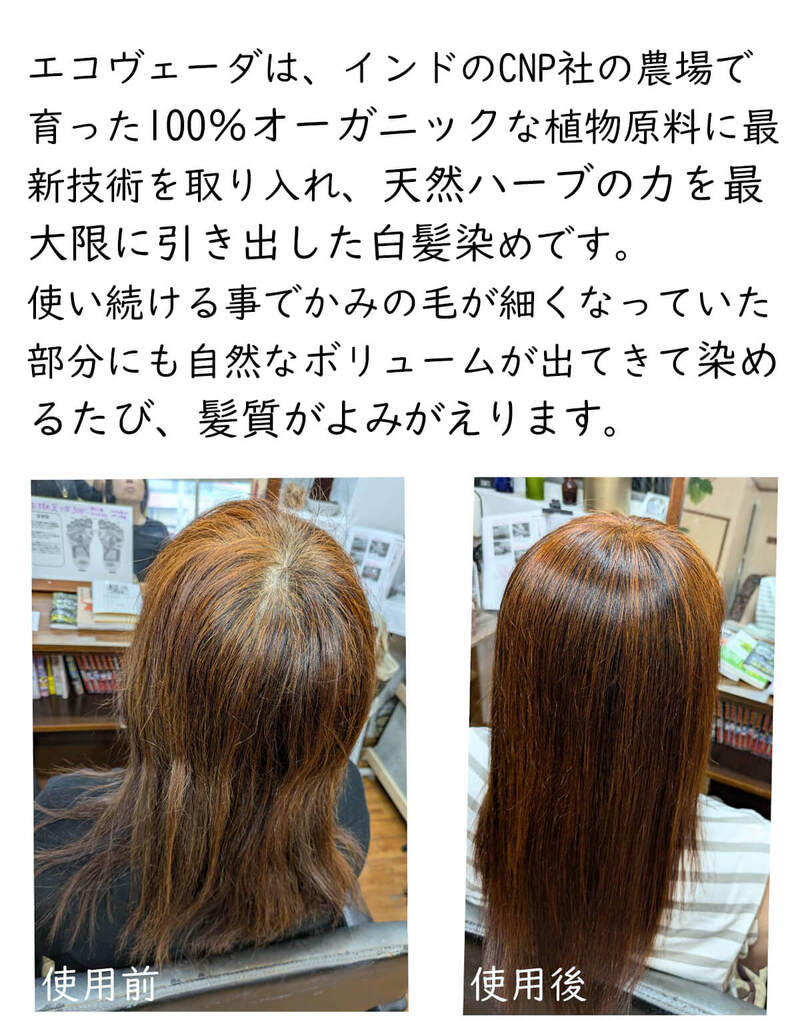 白髪染めで頭皮ケアできる100％天然素材のオーガニックヘナ（エコ