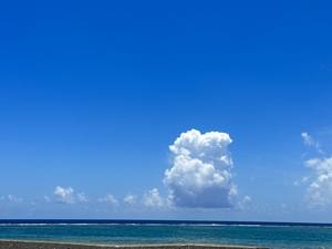 週末の予定