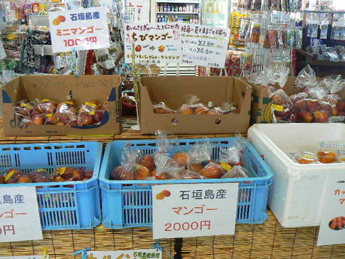 石垣港離島ターミナル～