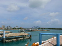 石垣港離島ターミナル～ 2015/08/06 16:04:53