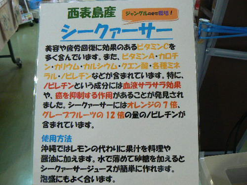 西表島産　シークァーサー