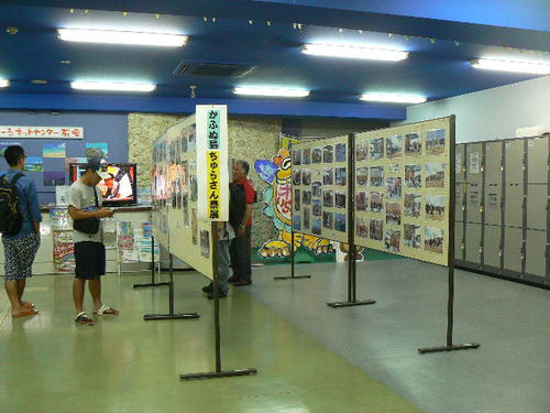 かふぬ島ちゅらさん祭展