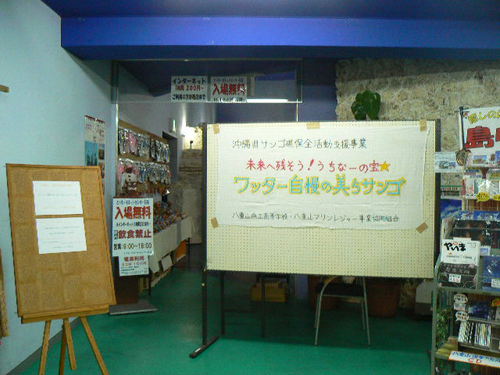 ワッター自慢の美らサンゴフェスティバル