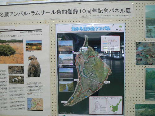ラムサール条約10周年記念　名蔵アンパルパネル展