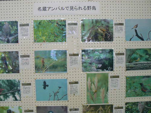 ラムサール条約10周年記念　名蔵アンパルパネル展