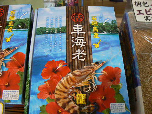 石垣島～活車えび