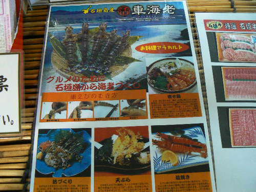 石垣島～活車えび