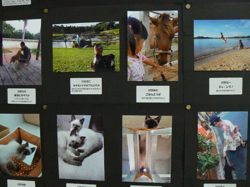 動物ふれあいフォトコンテスト応募作品展