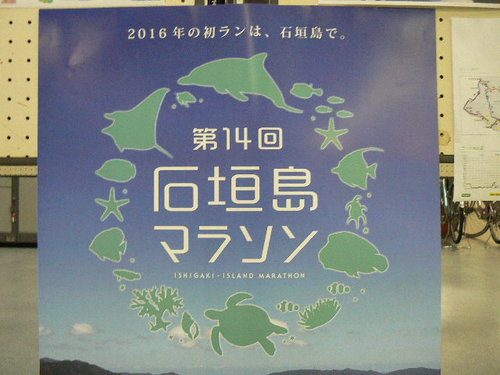 石垣港離島ターミナル～