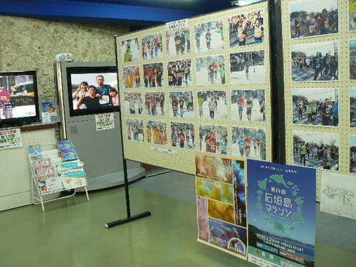八重山黒糖　2016年新糖