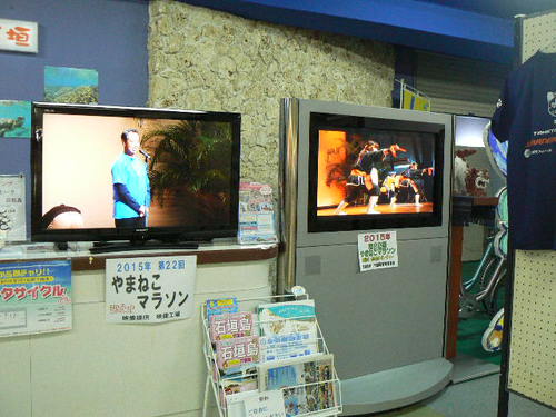 2015年第22回やまねこマラソン展