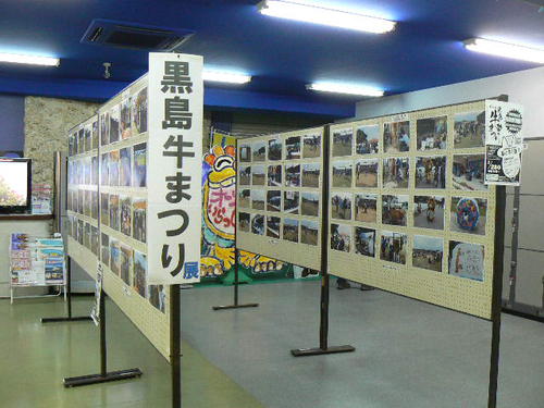 黒島牛まつり展