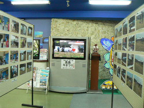 黒島牛まつり展