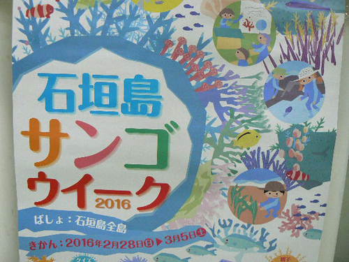 八重山のサンゴ展