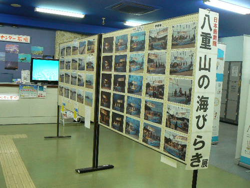 日本最南端　八重山の海びらき展