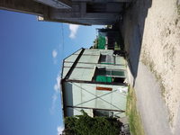 母校５