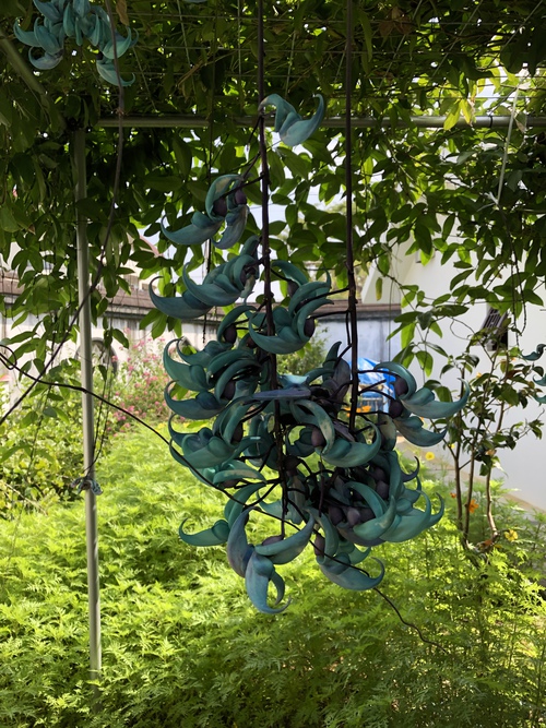 週末