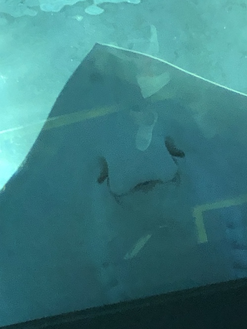 久しぶり
