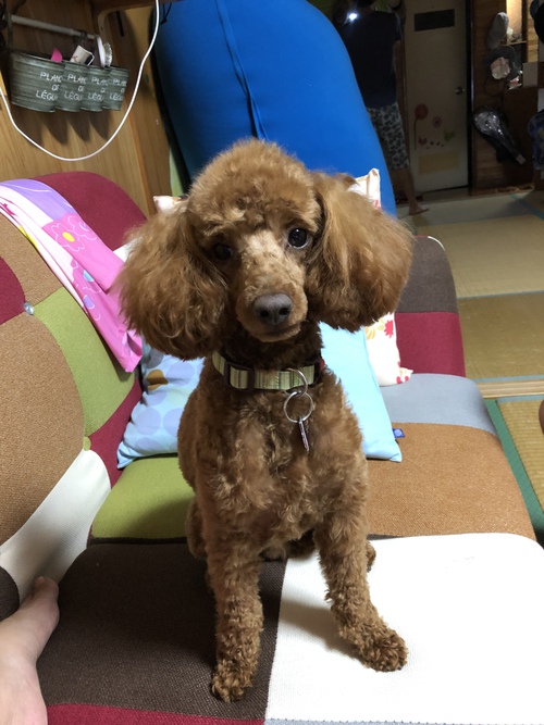 休日