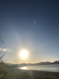 身近に 2022/01/21 18:01:00