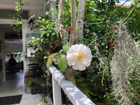 大丈夫よぉ〜