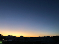 生きてる 2021/11/16 17:28:48