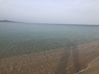 ホッと 2021/05/04 14:00:00