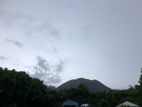 会いたかったよ