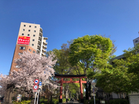 夢心地 2021/03/29 12:00:00