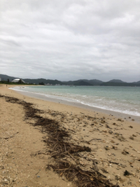 大切なものを 2021/04/22 09:00:00