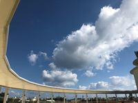 今日も緩んで
