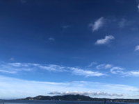 はじまりました 2021/07/11 09:00:00
