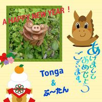 新年 明けました！