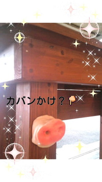 リアル…ぶたハナ