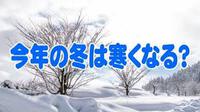 今年の冬は寒い！