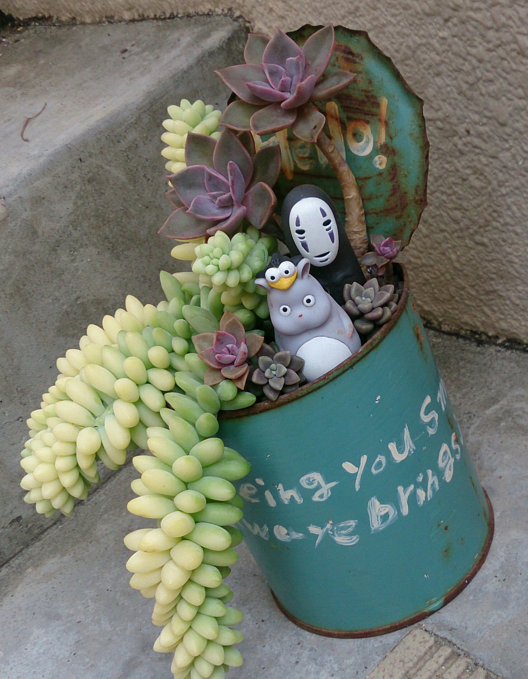 完全リニューアル寄せ植え!(^^)!